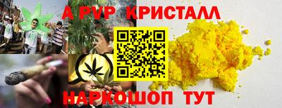 гашик Новодвинск