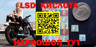 эйфоретик Новокубанск