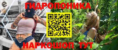 гашик Новодвинск