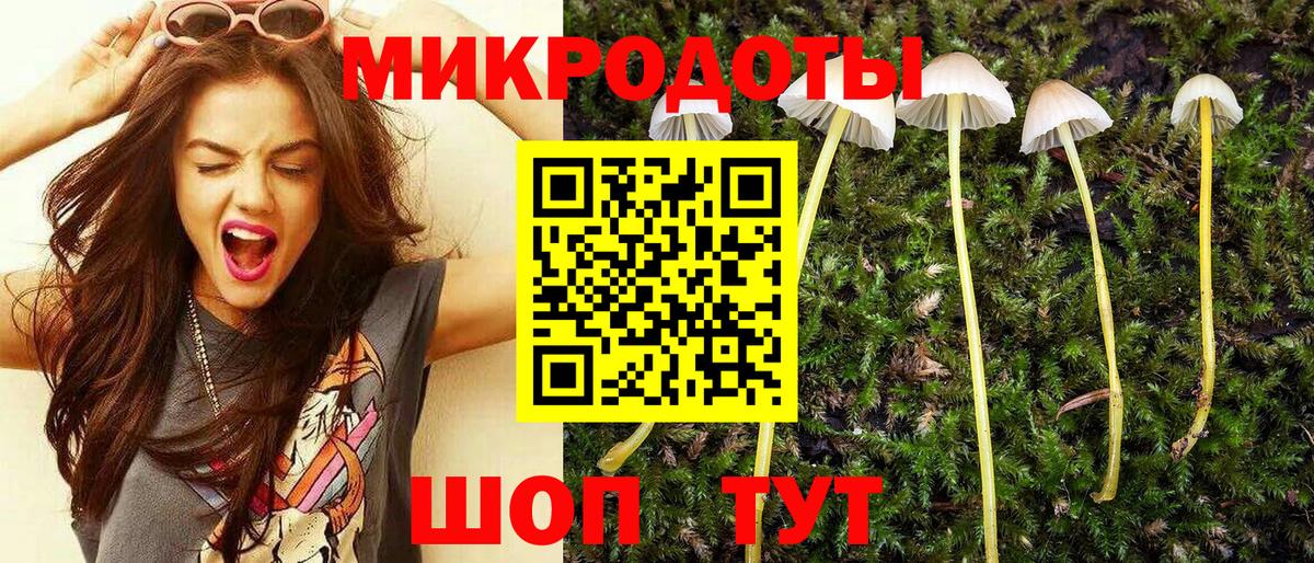 Галлюциногенные грибы Magic Shrooms Советский