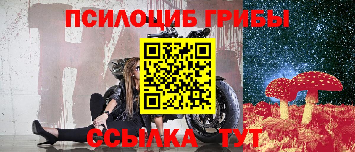 Советский  Галлюциногенные грибы Psilocybe  Вход с VPN 